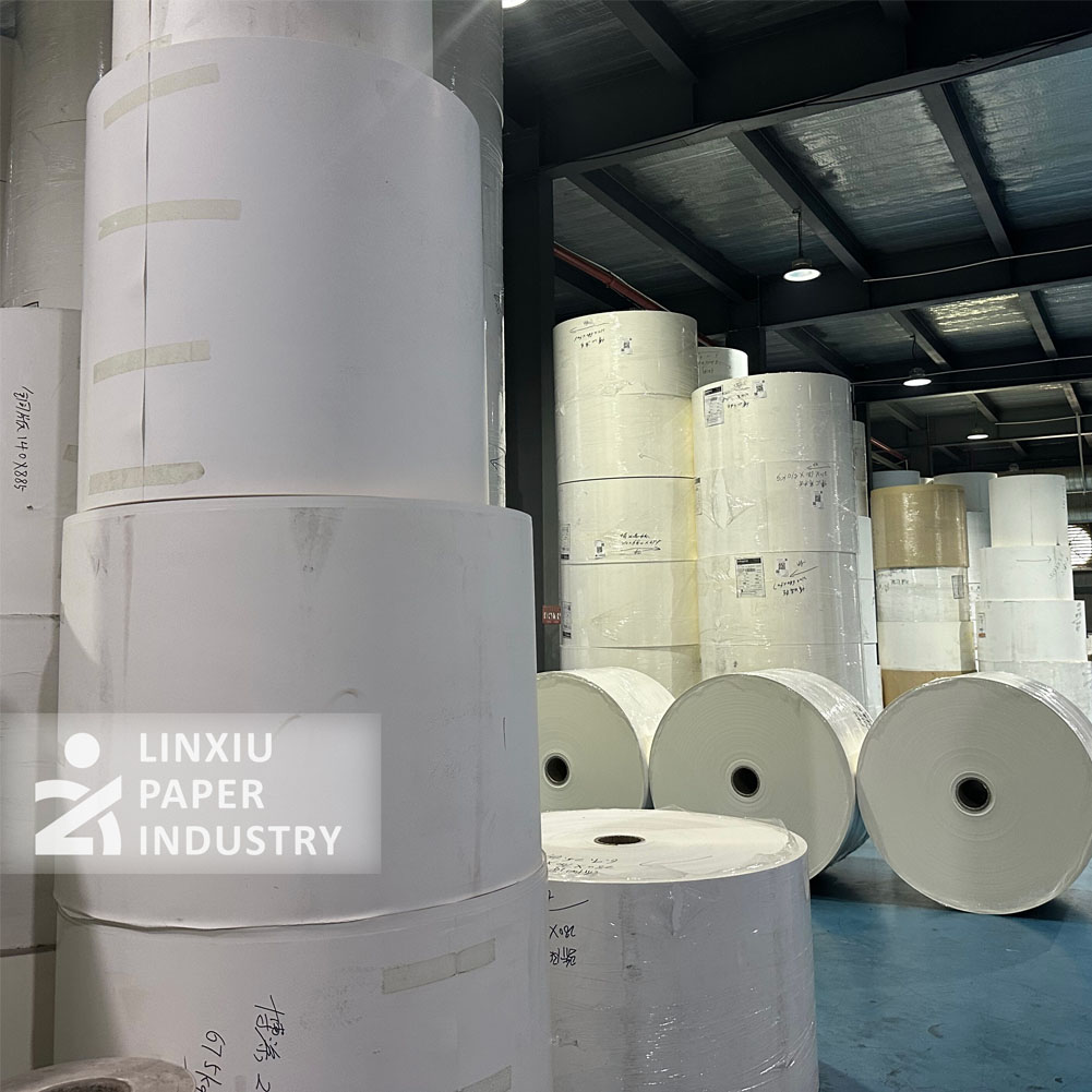 170gsm 190gsm Claycoated Glossy paper Roll To Blanks Machine Pe/pla Coated paper Rolls Saudi Arabia