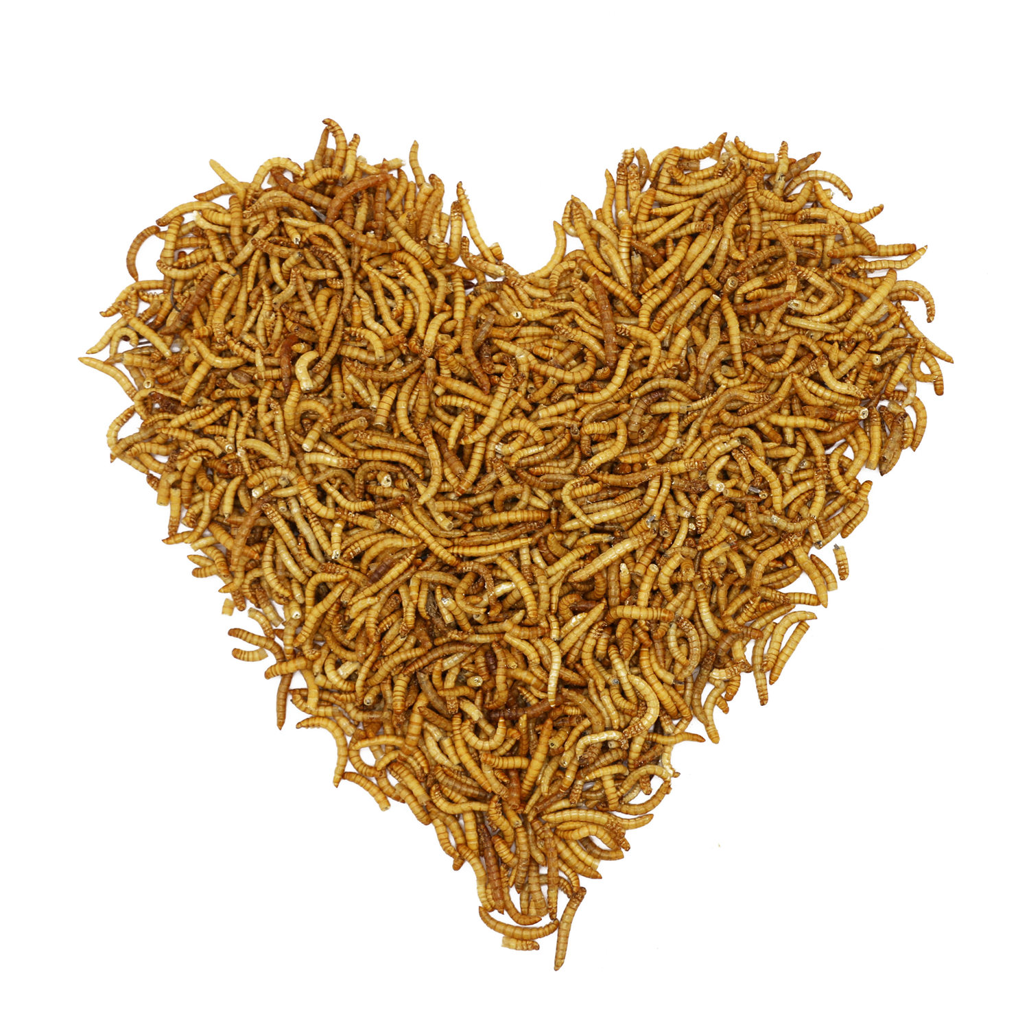 dried mealworms bird food fish food