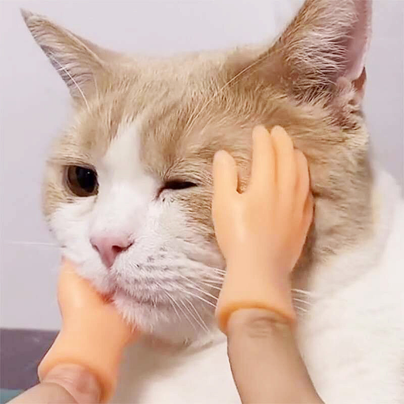 Spoof Pet Accessories Tease Cats Toys Safety Materials Cats Toys