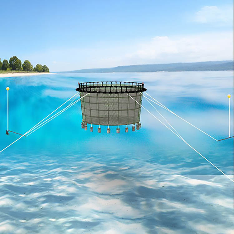 Tilapia HDPE круглая Складная Рыболовная Ловушка, рыболовная ферма
