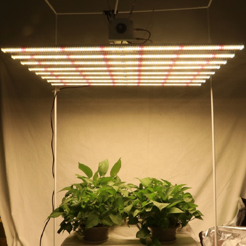 V3 Samsung Lm301H Briht Quantum Program Full Spectrum Cob Bar 1500 480W 720 Watt Indoor Panel Led Light To Grow For Greenhouses