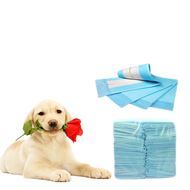 Online shopping disposable pet training pad & pet pee pad from China