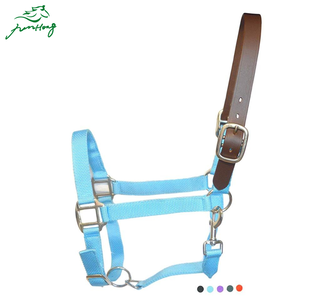 Оптовая продажа высокое качество лошадь headcollars производитель, оборудование для лошадей в вашем собственном дизайне лошадь нейлоновые с лямкой на шее