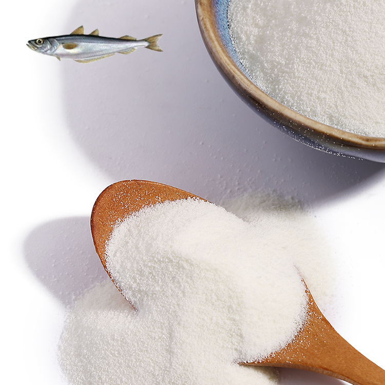 Food Grade 98% Protein Content Fish Collagen Protein Peptide Powder