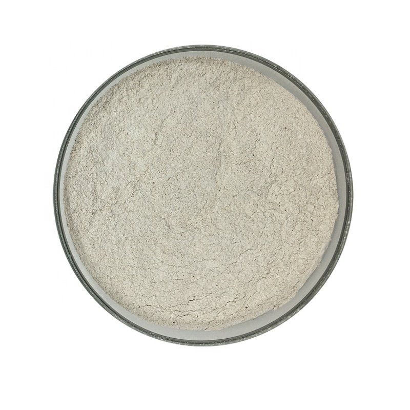 Best Bacillus Subtilis Probiotics Improve Fish Growth Performance