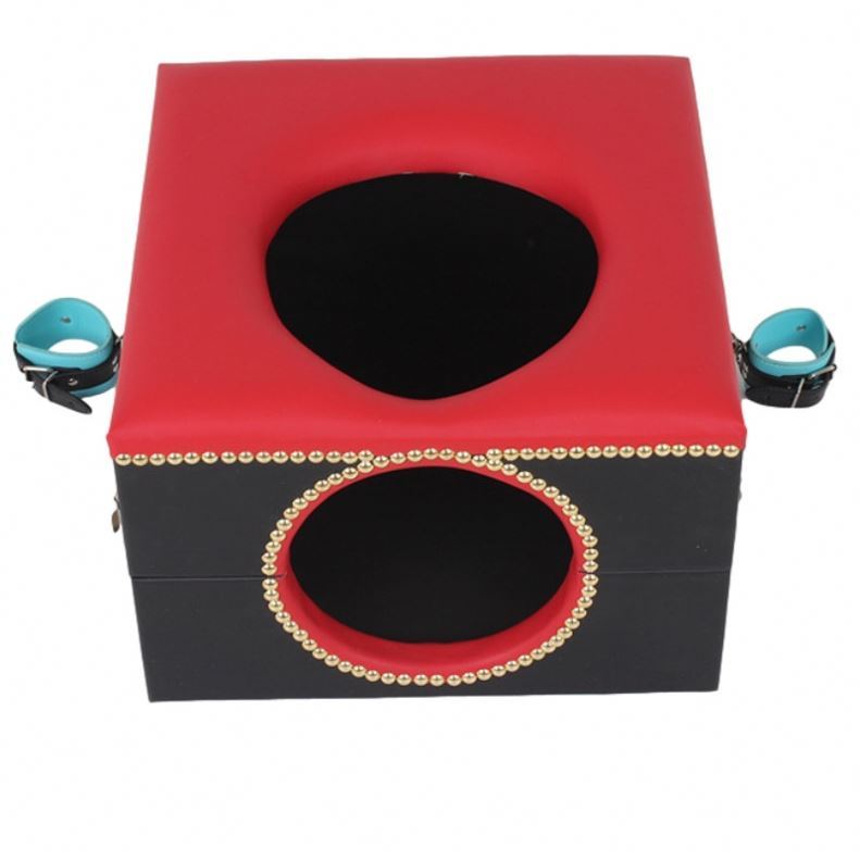SM Facesitting Queen Training Male Slave Props Sex Toys Forced Oral Drinking of Raw Water Toliet Chair Furniture