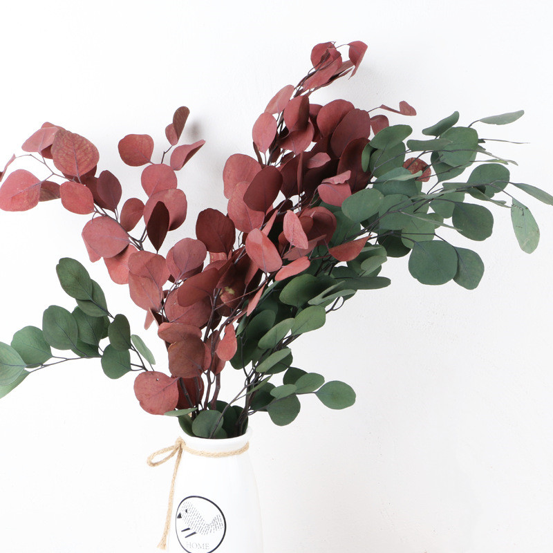 Apple Eucalyptus Leaves Forever Natural Dried Interior DIY Flower Arrangement Wedding Decoration Home Decor Colourful Dekoratio