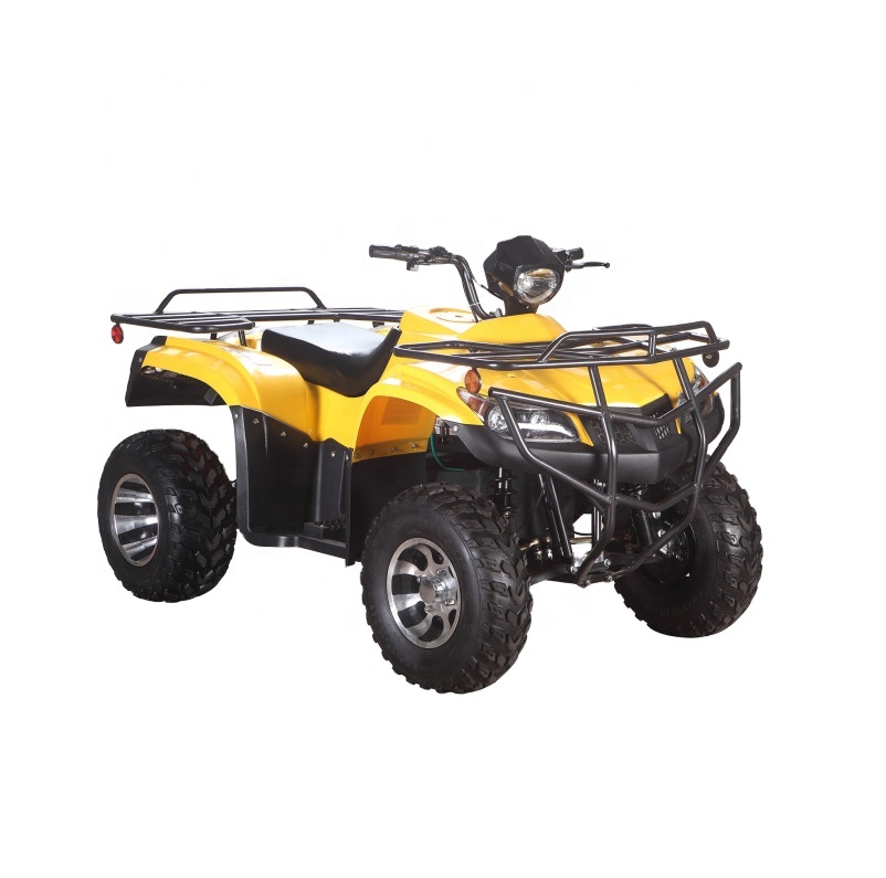 3000 Вт большой мощности электрического ATV модель взрослых quad Лидер продаж