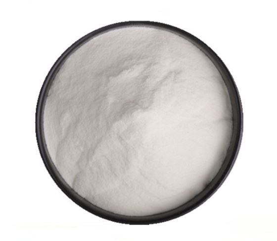 Factory Supply Competitive Bifidobacterium Bifidum Price