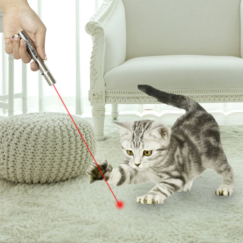 Ticker Recharge Infrared Ray Training USB Pointer Pet Toy Buy Laser Tease Cats Pen