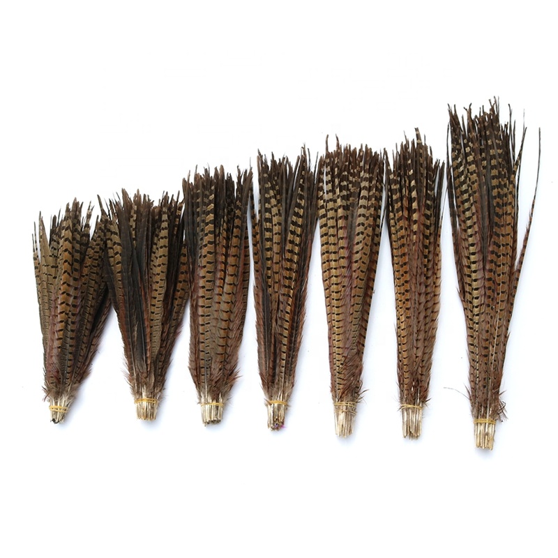 Wholesale ringneck pheasant tail feather