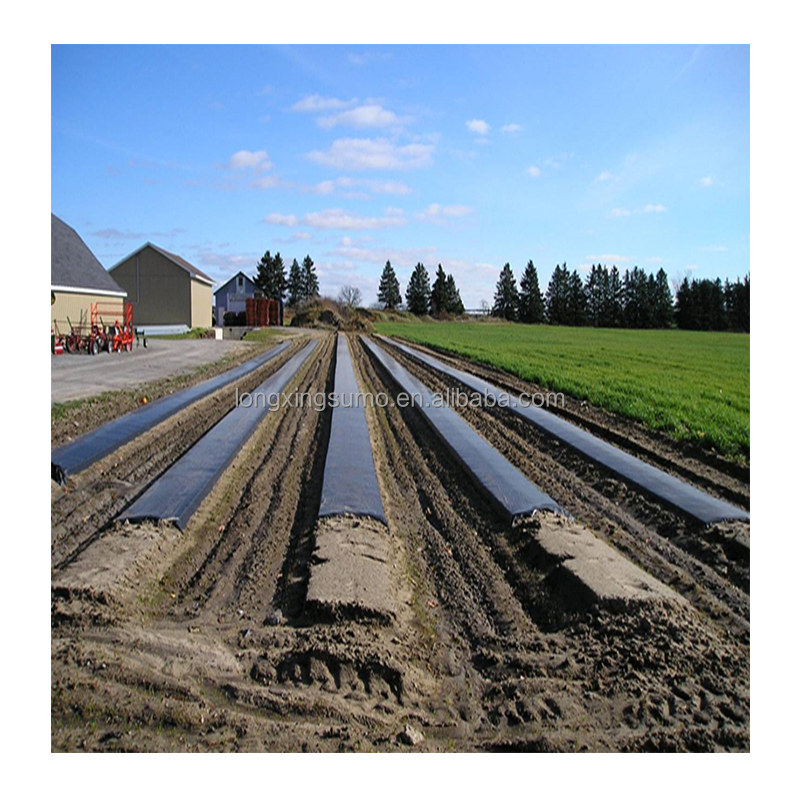 20 Micron Black Weed Control Agricultural Mulch Film/Insect Control Mulching