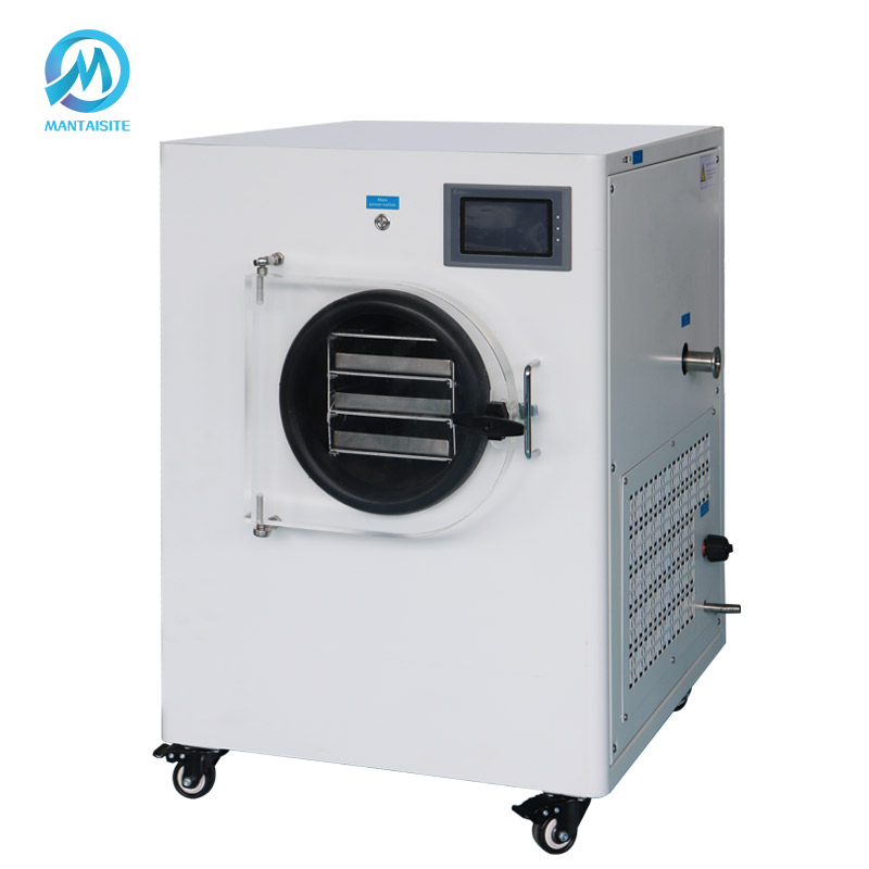 Small fruit vegetable vacuum freeze dryer home