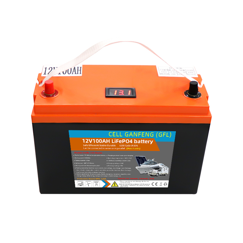 OEM ODM LiFePO4 100Ah 200Ah 300Ah 12V 24V Lithium battery smart BMS for Data Center