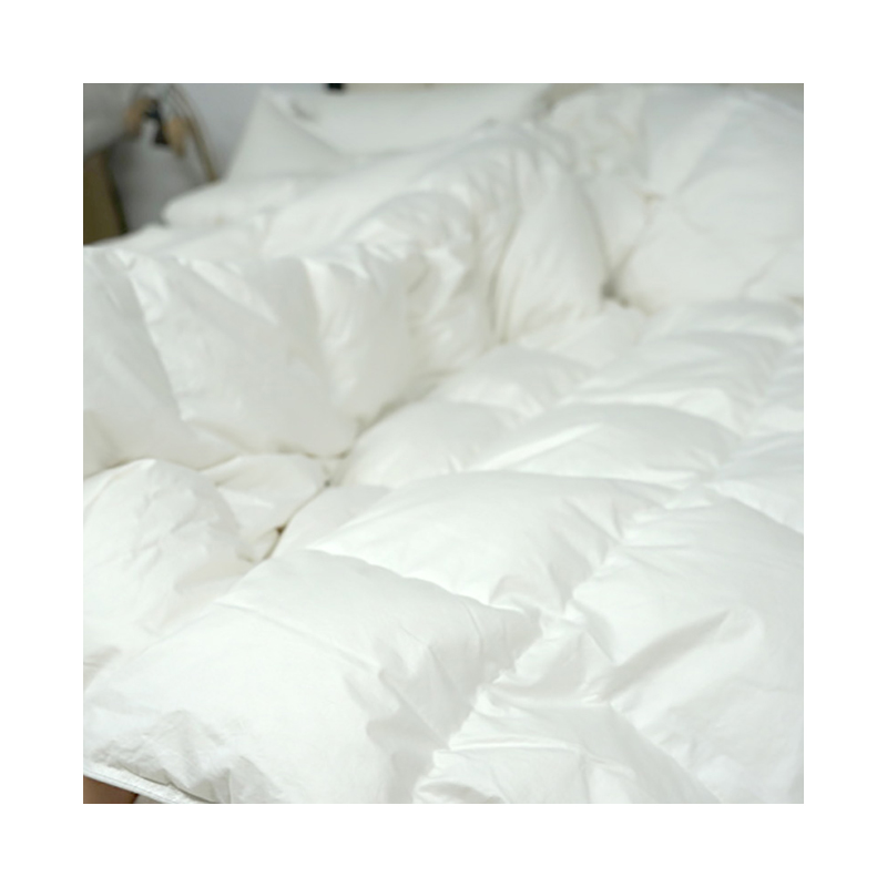 Factory Price Plain Color 100%Cotton Smooth and Comfortable Springautumn Microfiber Duvet Duvet Filler Microfiber