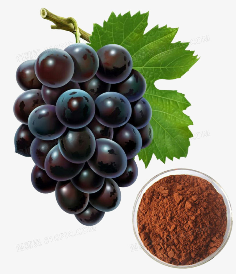 China supplier Provide 100% Natural Grape Seed Extract Proanthocyanidin(OPC) 95%