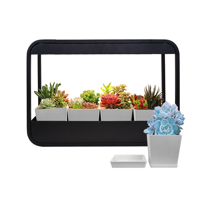 J & C Minigarden Koguva-черный кухонный сад металлический комнатный садовый завод LED grow light с адаптером