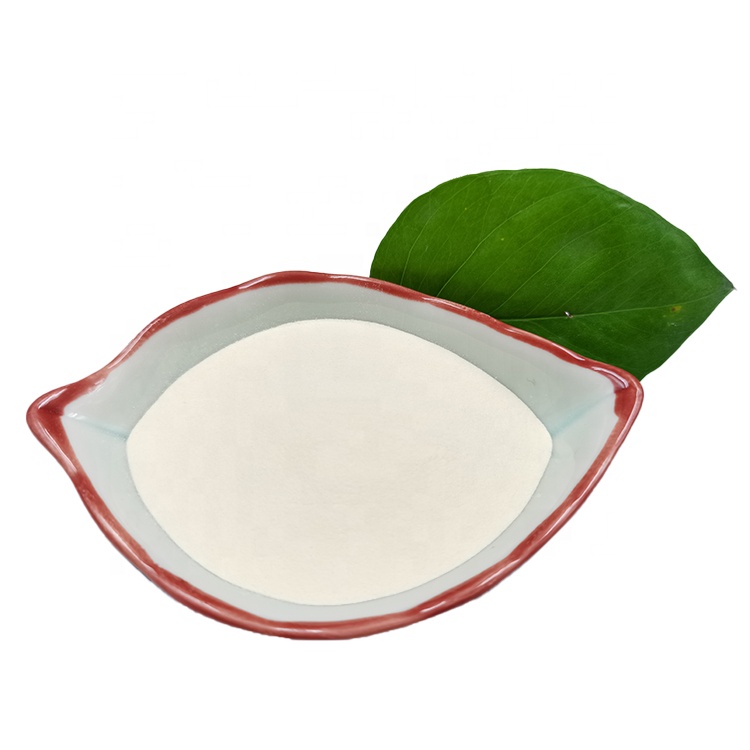 10 billion cfu food grade to help sleep lactobacillus plantarum probiotics powder