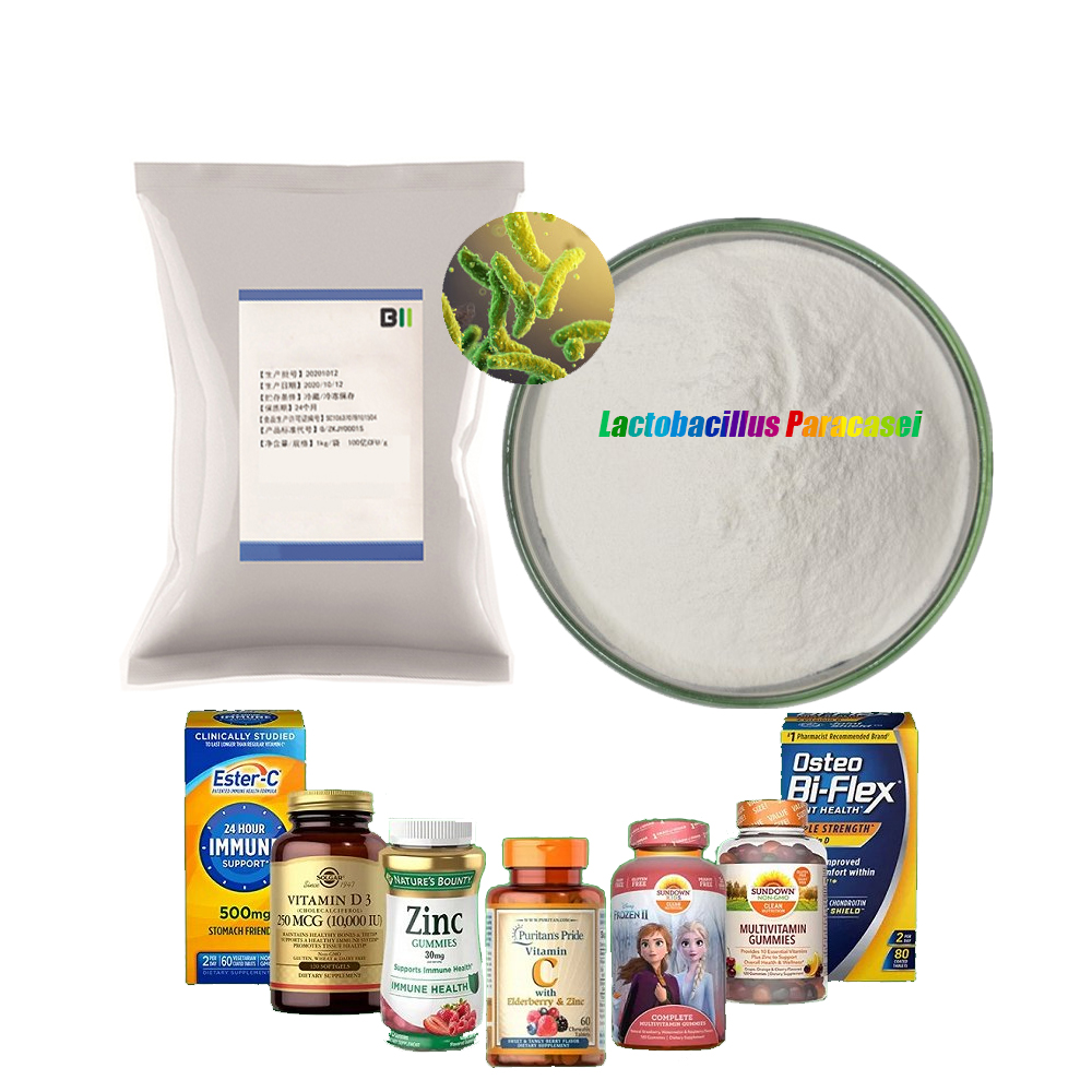 Freeze dried probiotics powder of Lactobacillus Lacticaseibacillus paracasei for probiotic dietary supplements food additive
