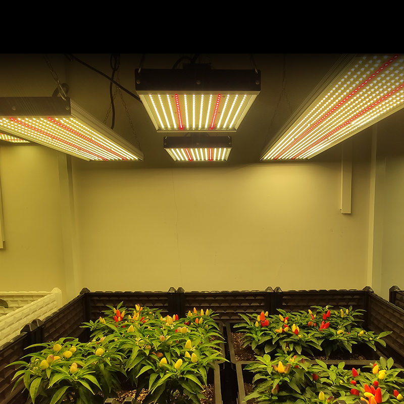Altaqua 600w 100w 2,8 umol/J Диммируемые Складные светодиодные лампы для выращивания