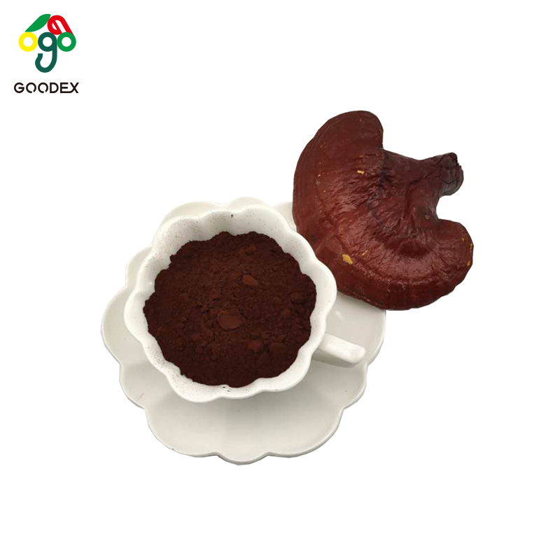 Новинка 2020 года, порошковый порошок lingzhi, порошковый порошок ganoderma