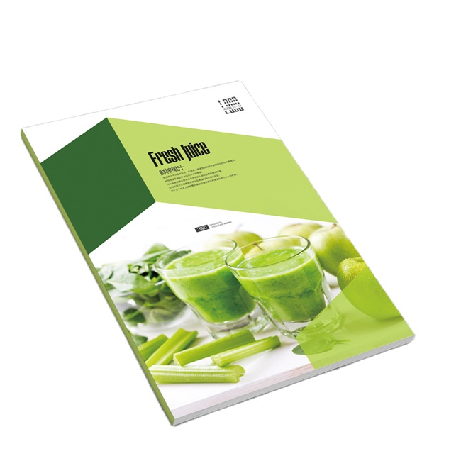 Custom Fold Leaflet Saddle Stitching Instructional Manual Printing