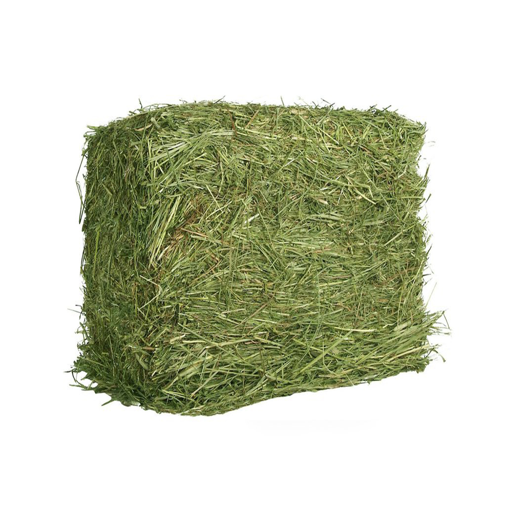 Super top quality Timothy Hay