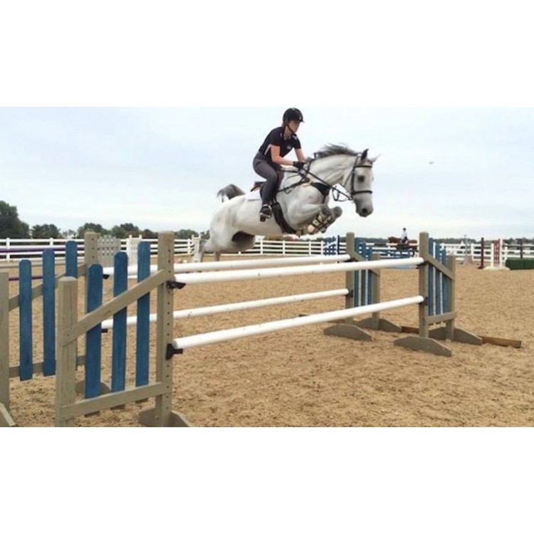 Китайский завод поставляет новый дизайн стандартов портативный Grand Metal Horse Jumping Bar