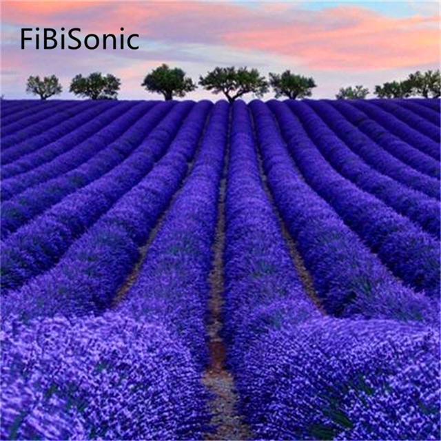 FiBiSonic 100 шт./пакет лаванды семена сад балкон горшечных цветов Семена приусадебное Садоводство Семена цветов
