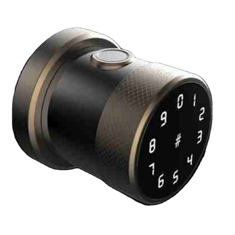 smart locks for wooden doors with fingerprint and lock body