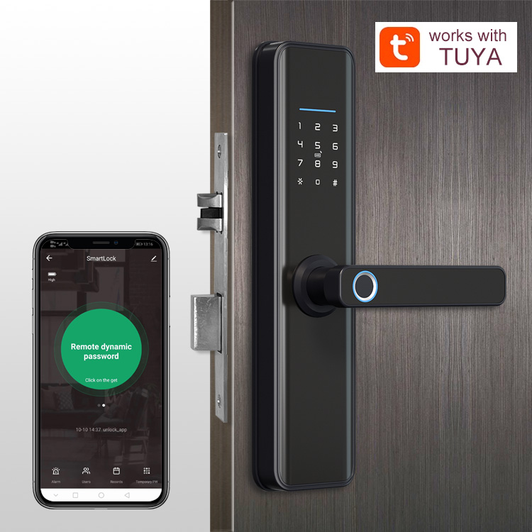 Guangdong домашний водонепроницаемый Alexa TTlock Wifi цифровой Электронный Герметик для спальни раздвижные цилиндрические ворота Tuya умный дверной замок