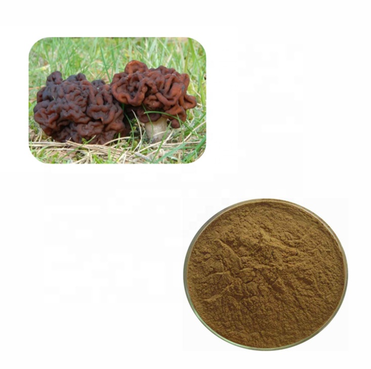 100% Pure Natural Lions Mane Mushrooms Original Extract Powder for Health Care