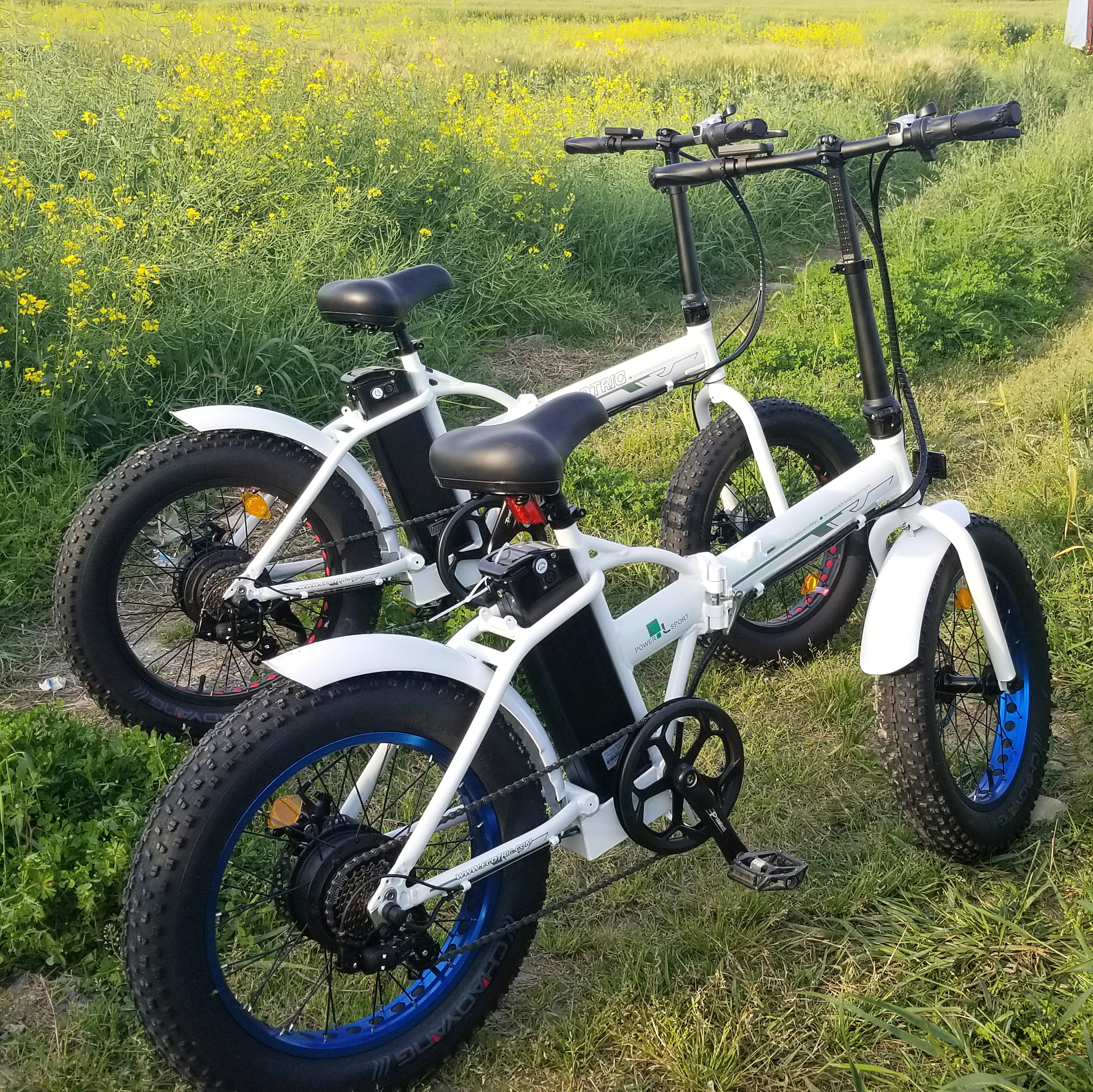 Оптовая продажа, электрический велосипед bicicleta, Китай, 36 В, 500 Вт, электрический велосипед с педалью, электрический велосипед на продажу
