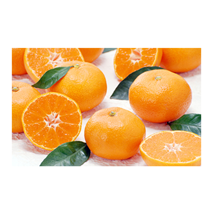 Orange Fresh Fruit с Good Quality, Japanese Wholesale, Bulk