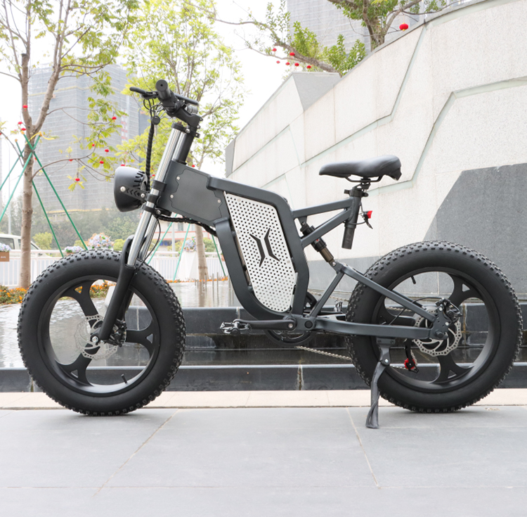 Bicicleta электрическая педаль для взрослых толстые шины городской внедорожный Электрический гидравлический велосипед 48 в 1000 Вт 20 дюймов