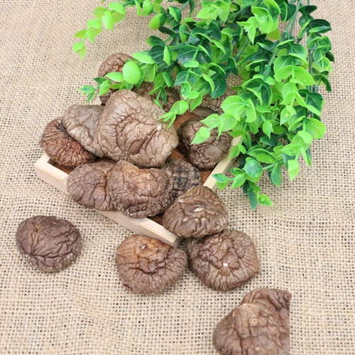 Широко используемая сухая сыворотка высшего качества Shiitake с грибовидными приправами