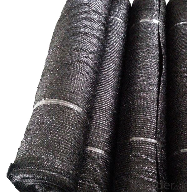 New quality PE plastic net sunshade net from Vietnam at competitive price