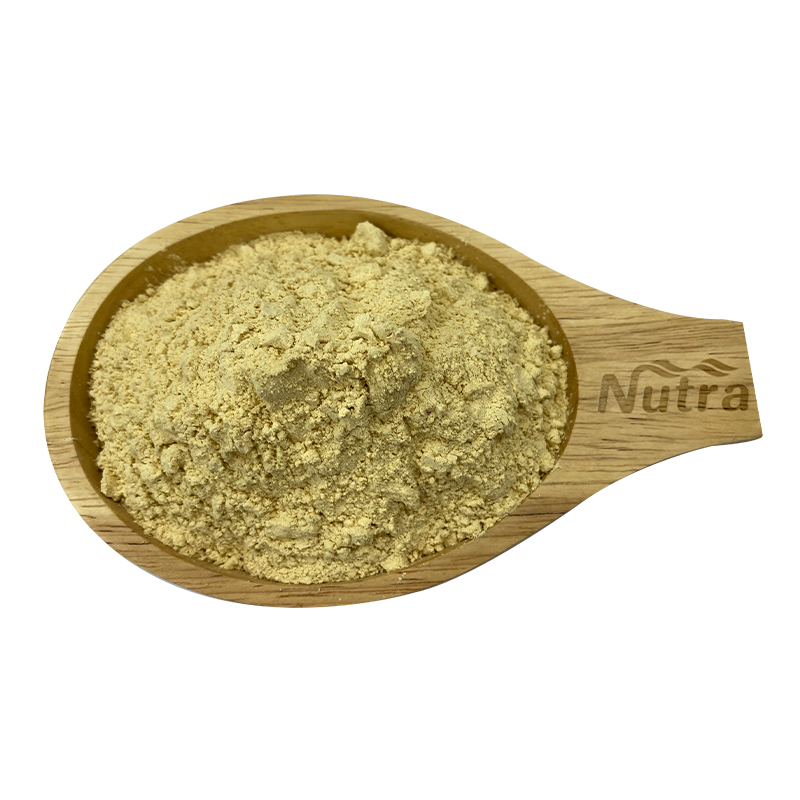 Chinese Supplier Wholesale Light Yellow Organic Ginger Juice Powder Bulk