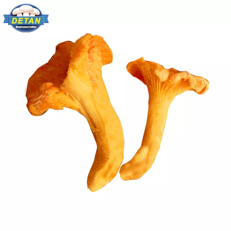 Замороженные Дикие грибы Chanterelle с чистым диким сезонным грибом Detan Exports
