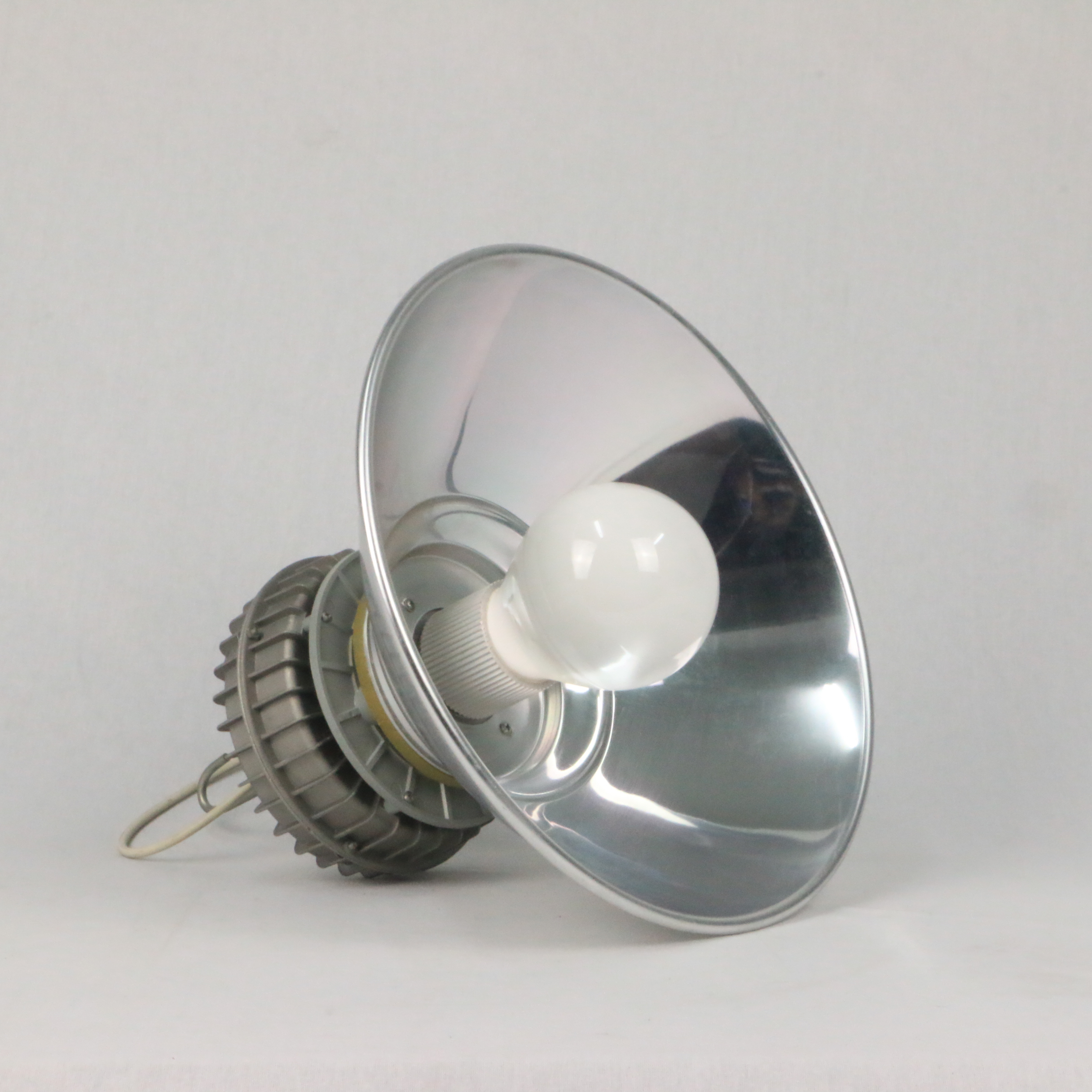 China Wholesale Custom Electrodeless Induction Lamp