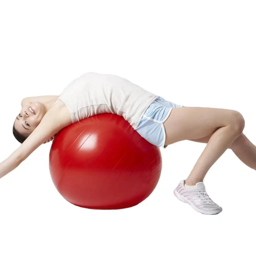 55cm 65cm 75cm Pvc Colorful Exercise Gym Yoga Ball With Air Pump