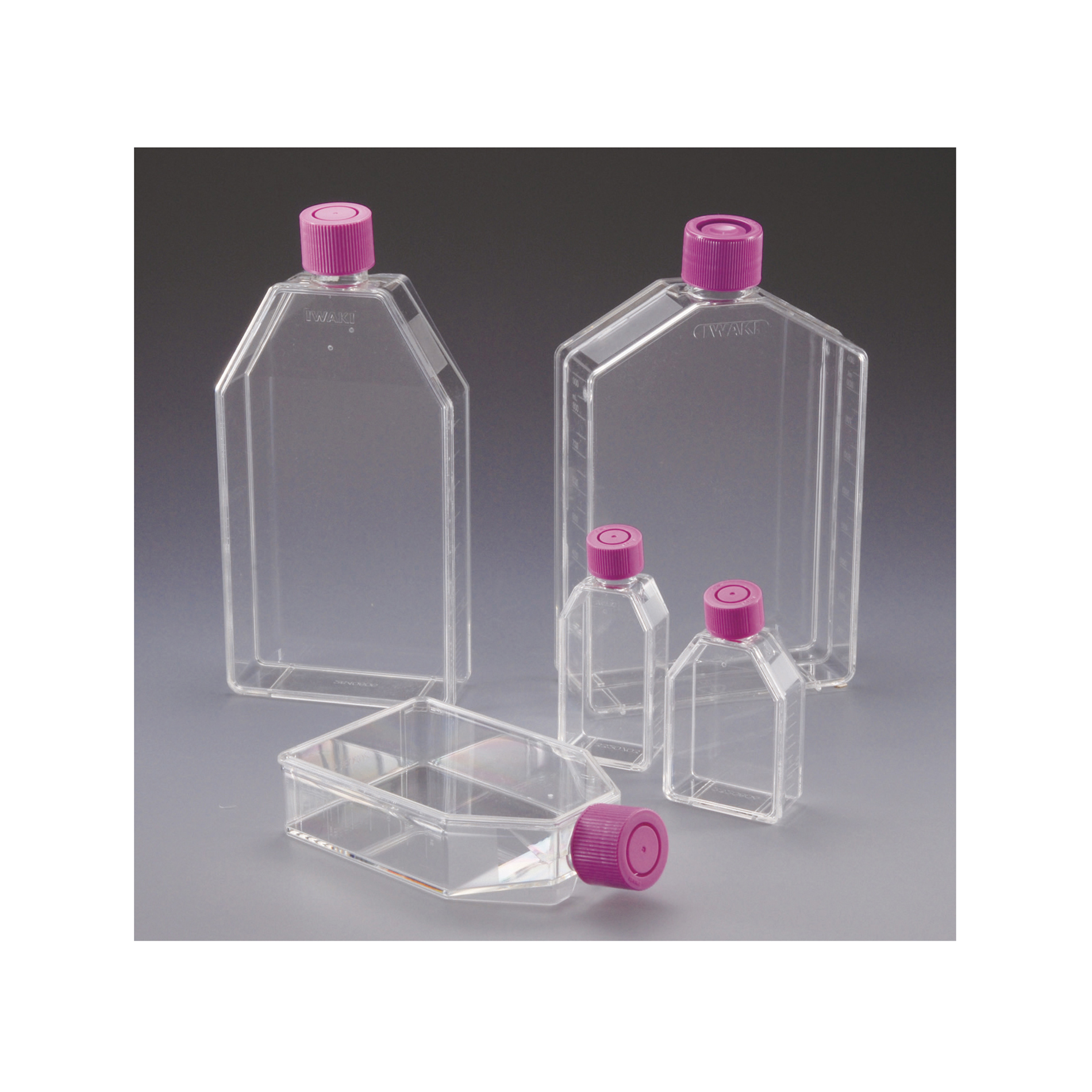 Japanese High Quality Tissue Cell Culture Flasks For Wholesale