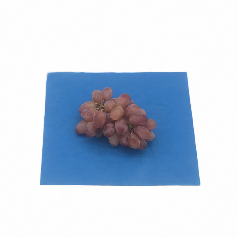 Biodegradable reusable plant based beeswax food wraps for promotion