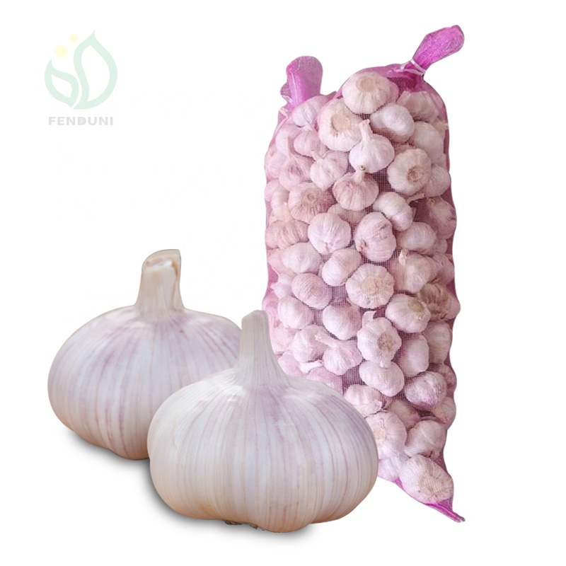 normal white  fresh garlic professional manufacture cheap garlic