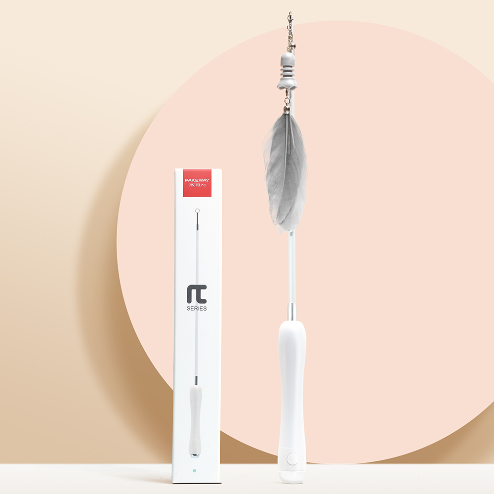 Pakeway Retractable Cat Teaser with Led Lamp, 3pc feather tip and 7 pcs cute bell tip with teeth cleaning function