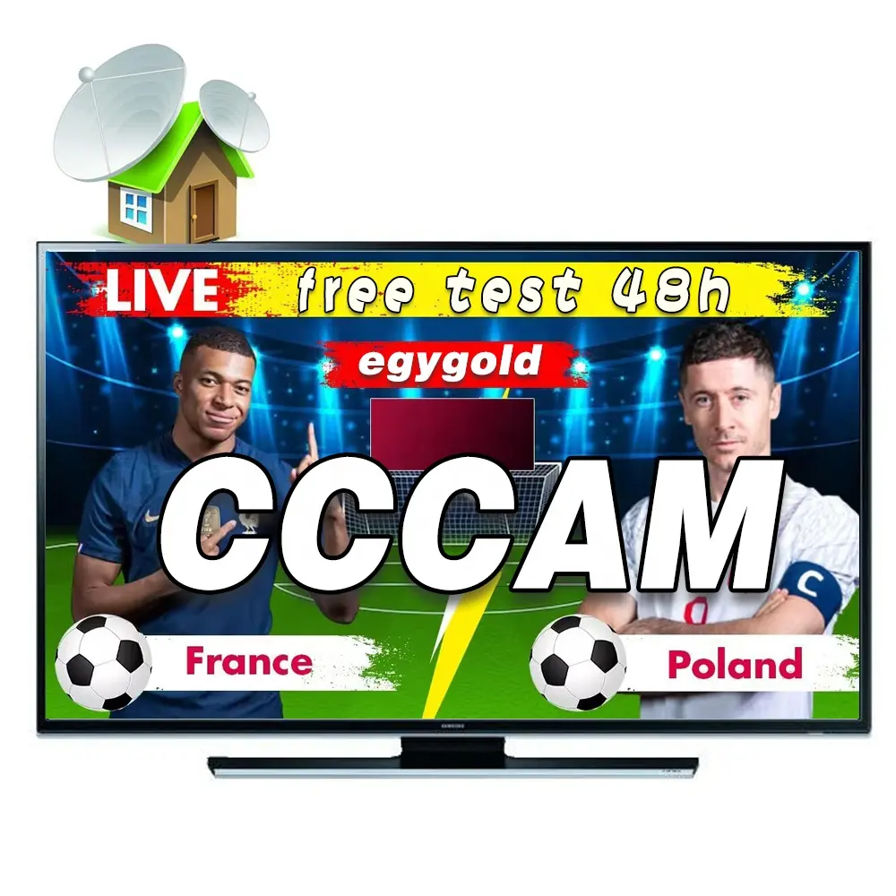 Stable Server 8 Lines cccam for europe Spain Portugal Poland OSCAM cccam Germany for Satellite TV Receiver support resell panel