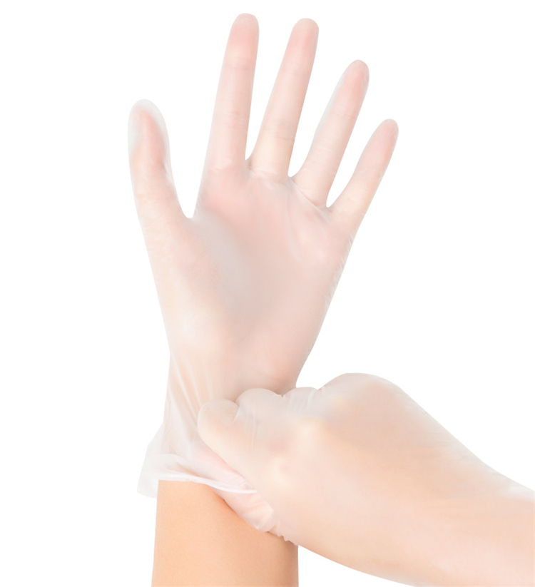 Medical Vinyl Examination Gloves Powder Free Food Grade Vinyl Gloves