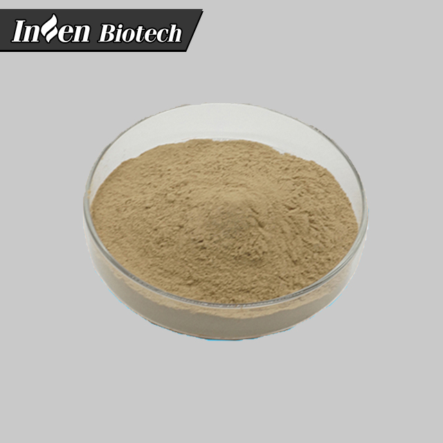 Высокое качество кормовой добавки Bacillus Coagulans порошок