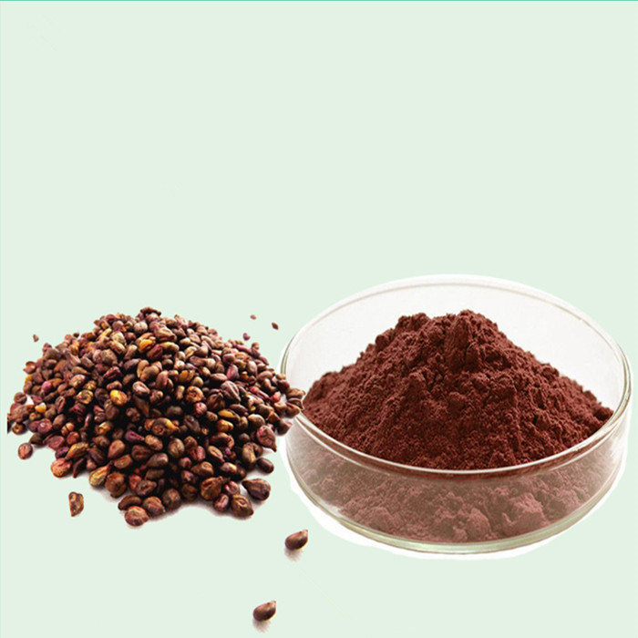 Cheap Price Natural Proanthocyanidin Powder 95% OPC Grape Seed Extract