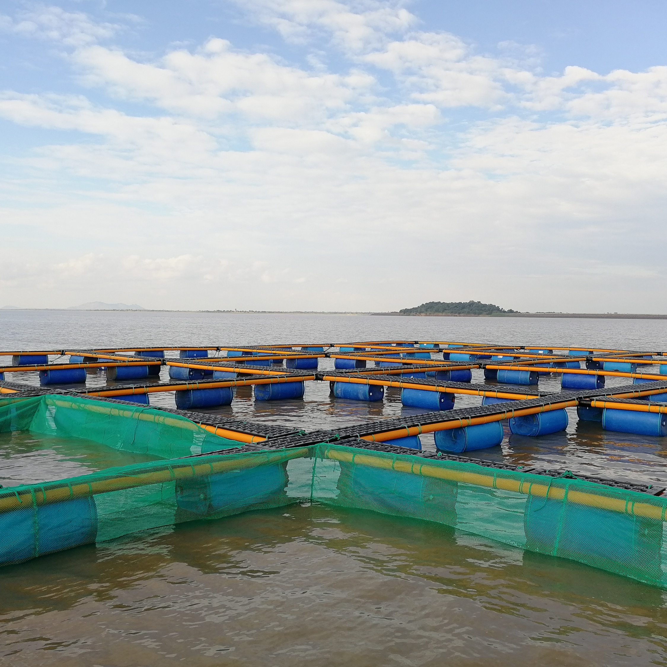 2019 HDPE плавающая клетка для рыбы для осёрционной фермы